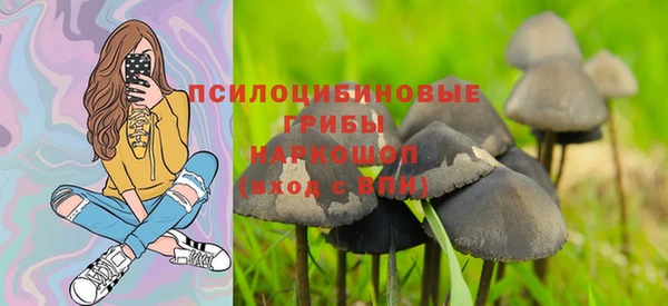 скорость Алзамай